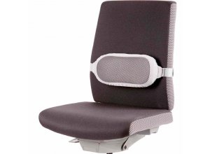 Podpórka lędźwiowa I-Spire™ - szara